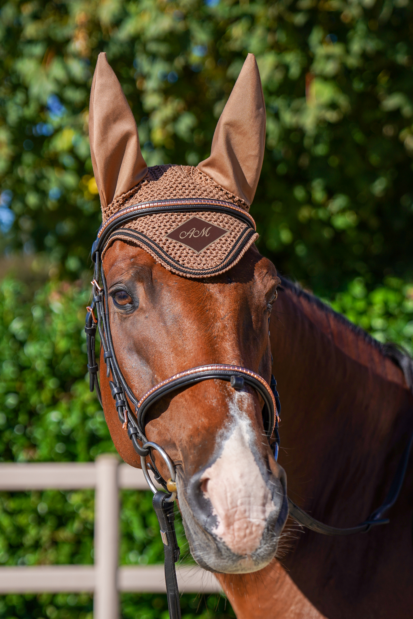 Cuffia uncinetto corta (Modulo D'ordine )