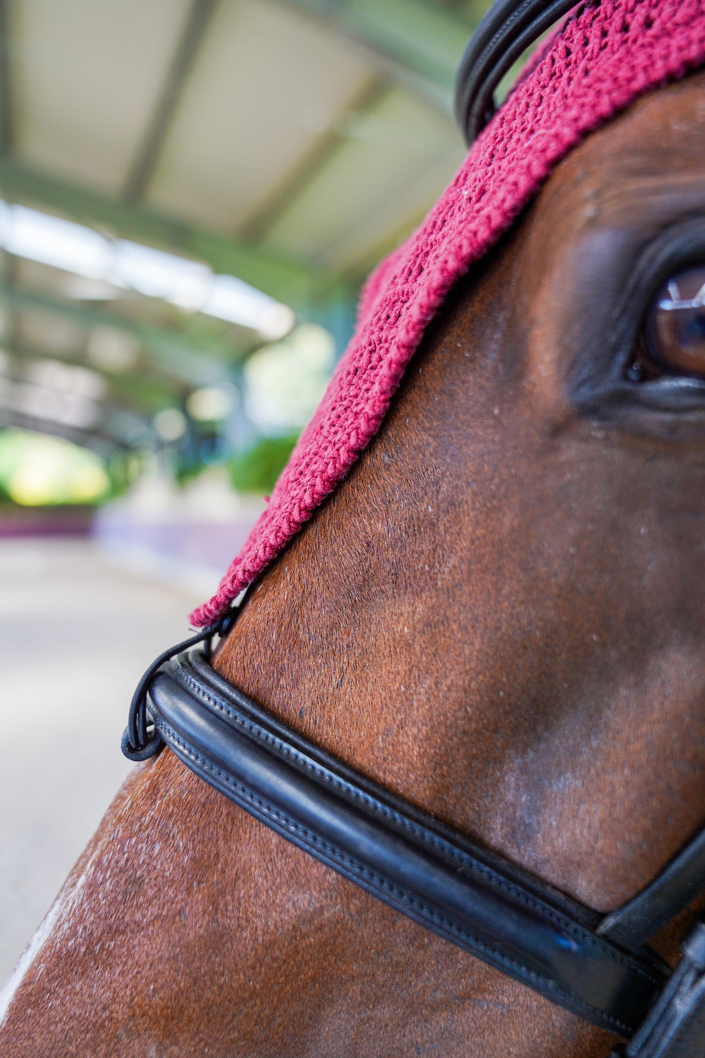 Cuffia uncinetto lunga (Modulo D'ordine )