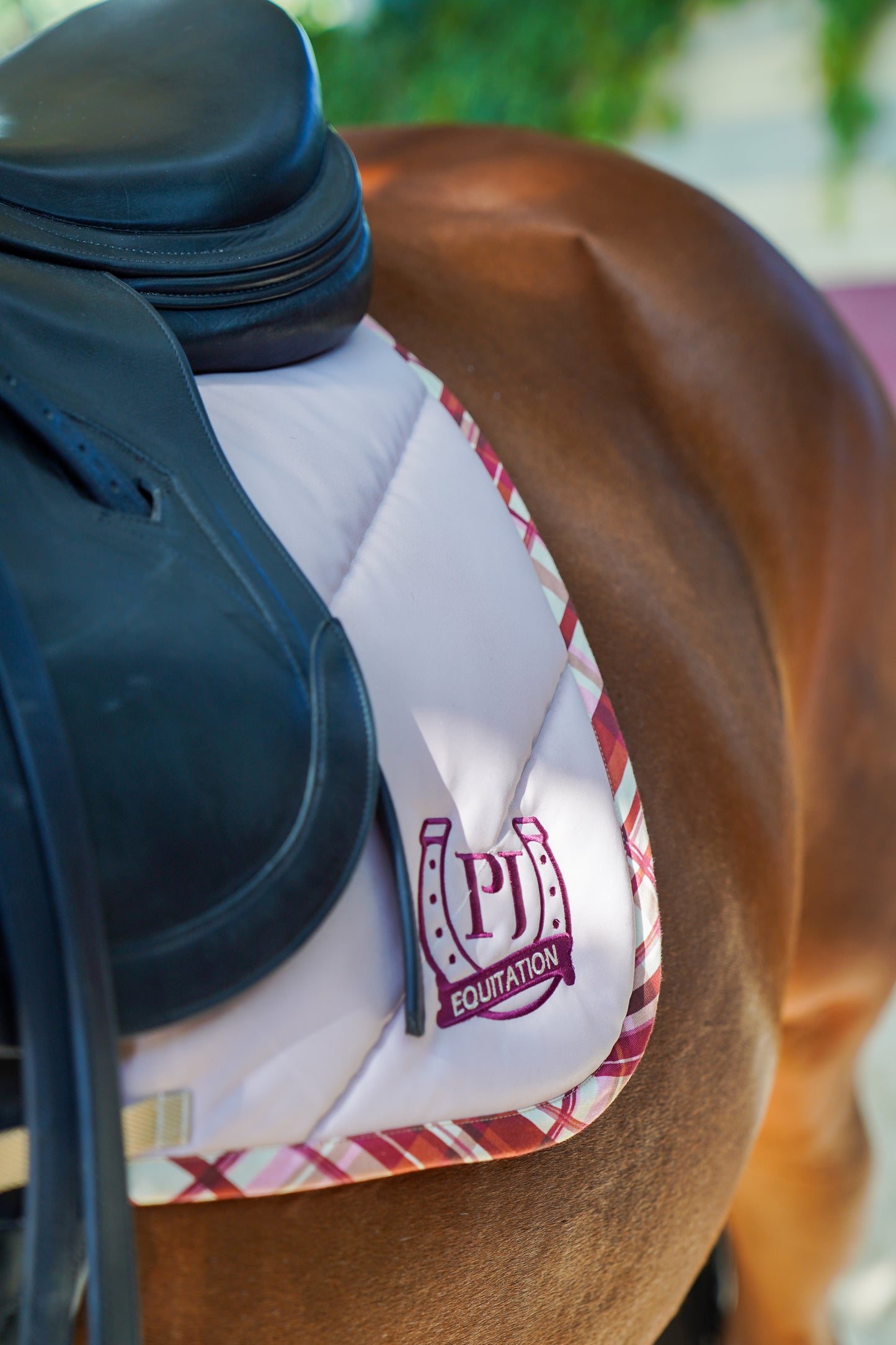 Sottosella Salto (modulo d'ordine)