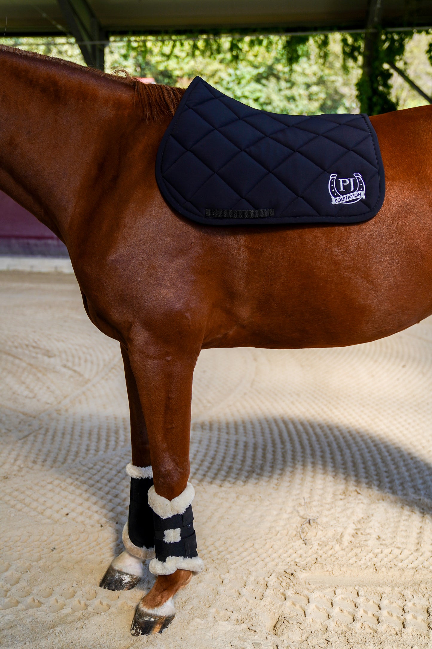 Personalized jumping saddle pad