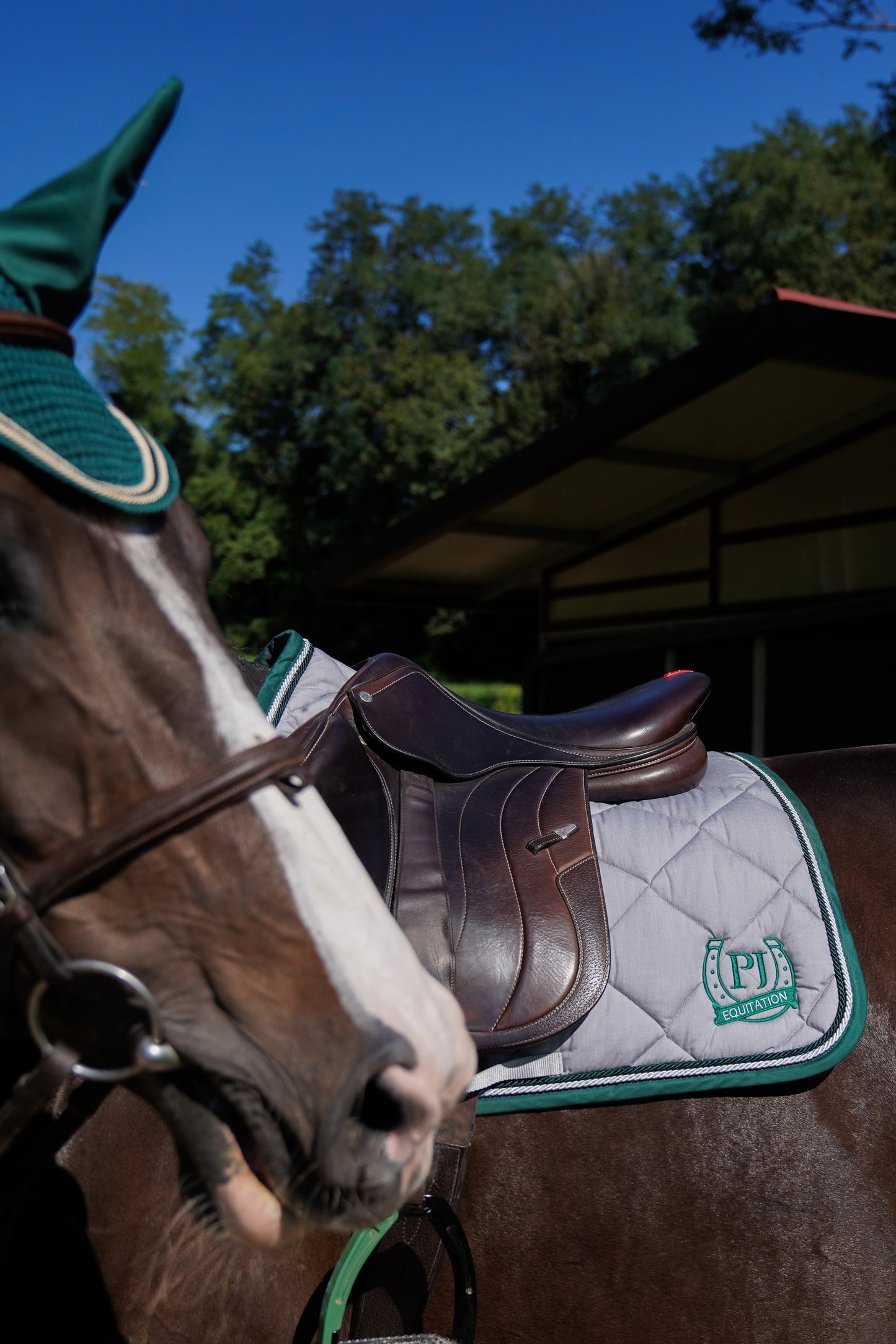 CUSTOMIZED Inverted Saddle Pad and Cuff Set